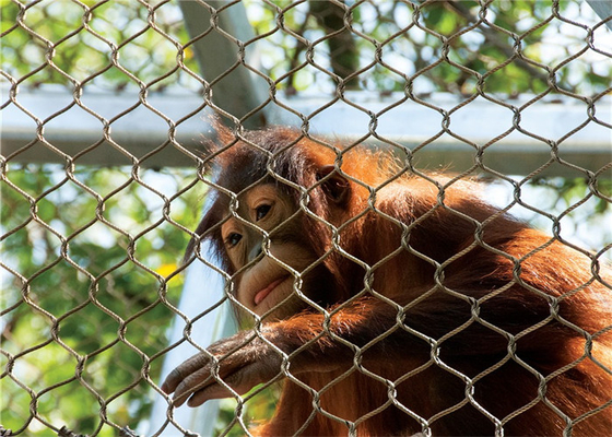 Geknotete oder Zwingen-Art Edelstahl-Vogelhaus Mesh Diamond For Animal Enclosure